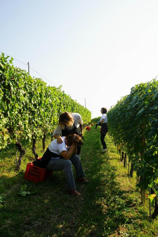 Agriturismo Il Gioco Dell'Oca Barolo Zewnętrze zdjęcie