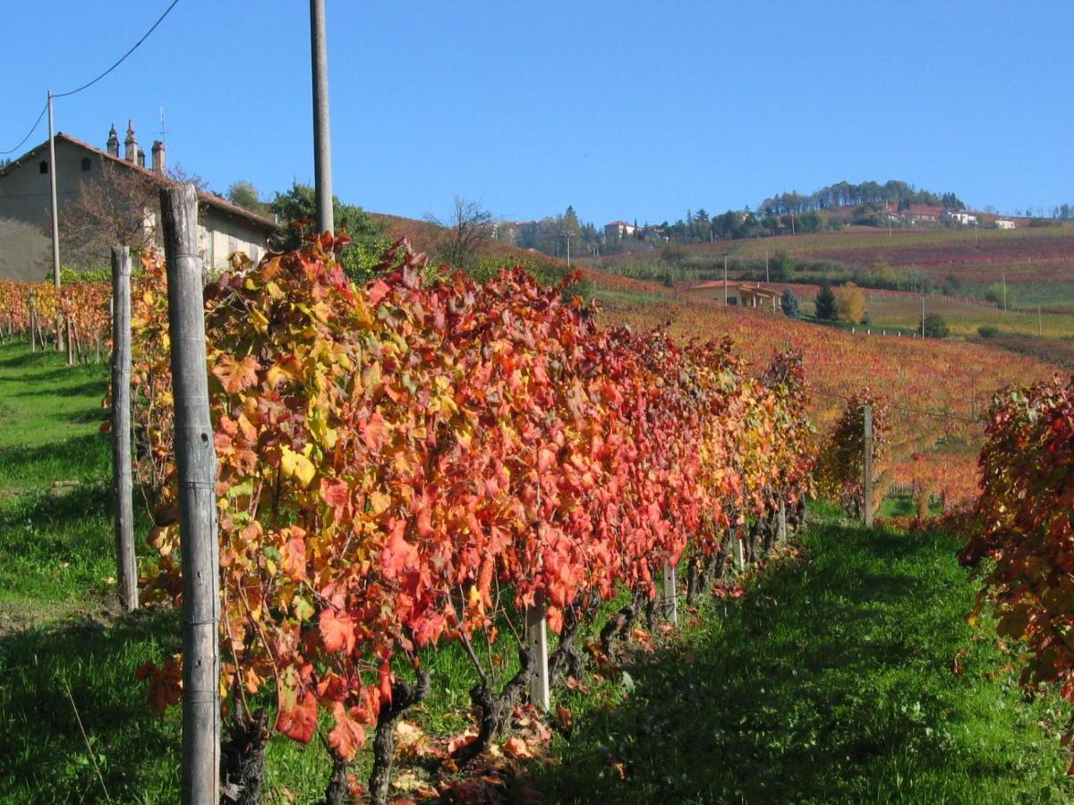 Agriturismo Il Gioco Dell'Oca Barolo Zewnętrze zdjęcie